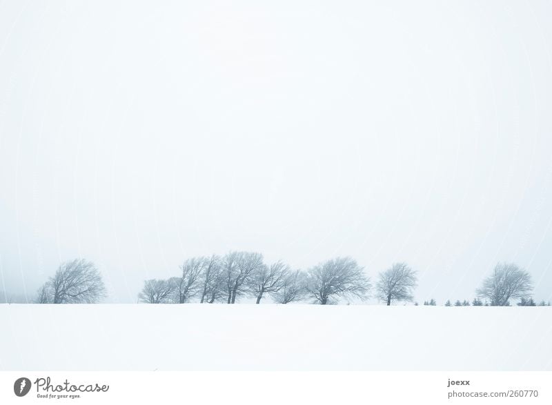 Hinter den Bergen Landschaft Himmel Wolken Winter schlechtes Wetter Nebel Eis Frost Schnee Baum Feld Hügel Berge u. Gebirge hell blau grau schwarz weiß kalt