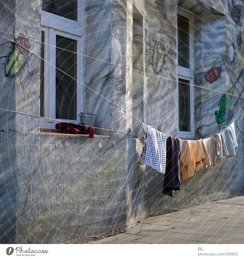 waschtag Häusliches Leben Wohnung Haus Mauer Wand Fenster authentisch außergewöhnlich einzigartig Stadt Kreativität Wäsche waschen Wäscheleine Wäscheklammern