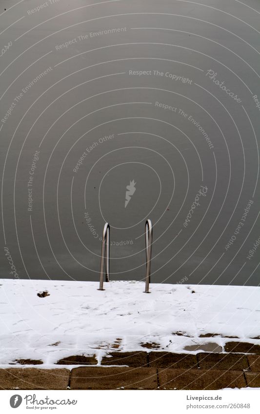 Winterbad Schwimmen & Baden Schwimmbad Leiter Wasser Eis Frost Park grau weiß Farbfoto Außenaufnahme Tag Kontrast Zentralperspektive Blick nach vorn