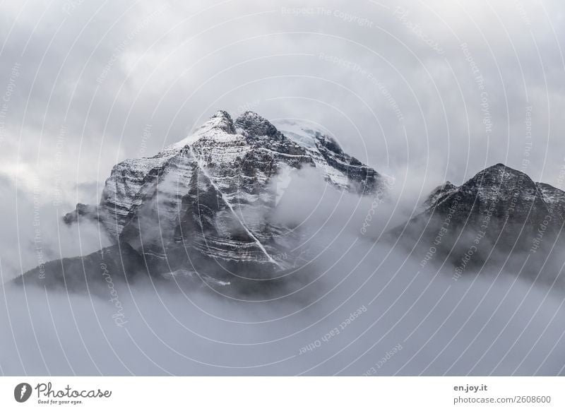 freigeben Ferien & Urlaub & Reisen Winterurlaub Berge u. Gebirge Natur Landschaft Urelemente Wolken Klima Klimawandel Wetter schlechtes Wetter Nebel Eis Frost