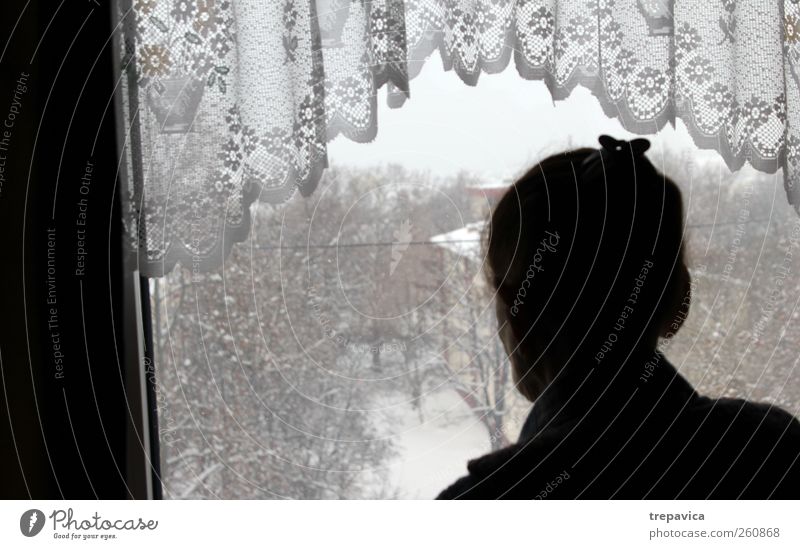 nana III Großmutter Frau Fenster alt Einsamkeit Gardine Rücken Reihe Langeweile Traurigkeit Blick Senior 60 und älter Silhouette beobachten Winter