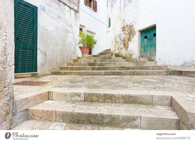 Specchia, Apulien - Aufstieg über eine historische Treppe Gasse antik Architektur Scheunentor Hochsitz Gebäude Großstadt geschlossen zuhalten zugeklappt