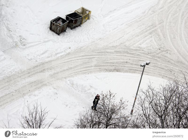 *** Umwelt Winter Klima Klimawandel Wetter schlechtes Wetter Unwetter Schnee Schneefall Baum Stadt Straße Container Linie Bewegung gehen dreckig gelb grau weiß