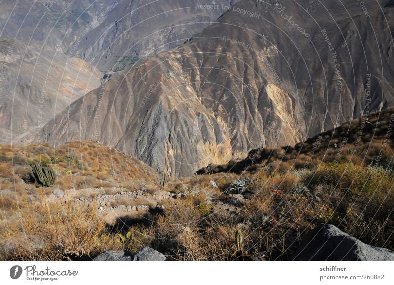 Der Gang nach Canossa Natur Landschaft Urelemente Erde Felsen Berge u. Gebirge außergewöhnlich Berghang Ödland trocken steil tief hoch aufsteigen anstrengen