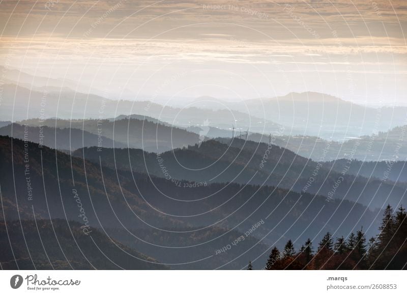 Südschwarzwald Ferien & Urlaub & Reisen Natur Landschaft Himmel Wald Hügel Berge u. Gebirge Schwarzwald Belchen wandern Stimmung Aussicht Panorama (Aussicht)