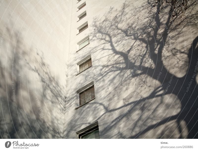 Drohkulisse Menschenleer Hochhaus Architektur Fassade Fenster Coolness eckig gigantisch gruselig unten Stadt gelb ästhetisch Bewegung Partnerschaft bizarr