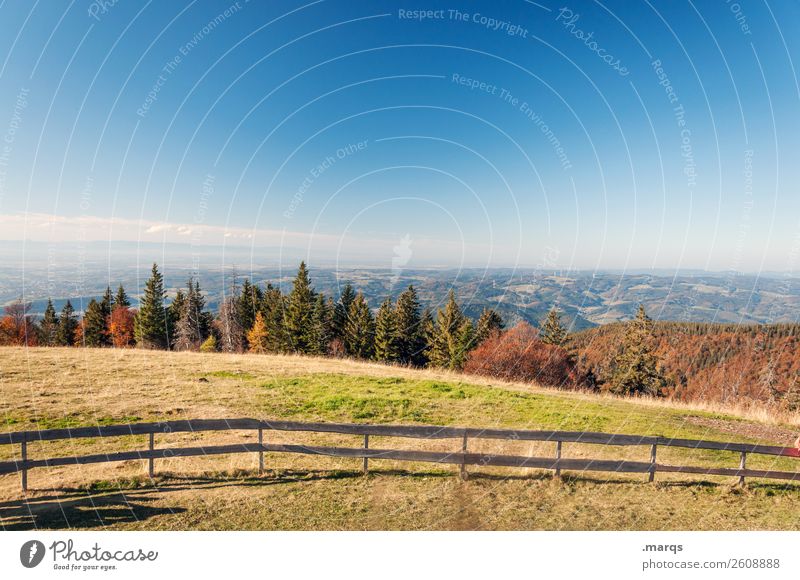 Kandel light Tourismus Ausflug Sommer wandern Natur Landschaft Wolkenloser Himmel Herbst Schönes Wetter Baum Wiese Wald Hügel Erholung Farbfoto Außenaufnahme