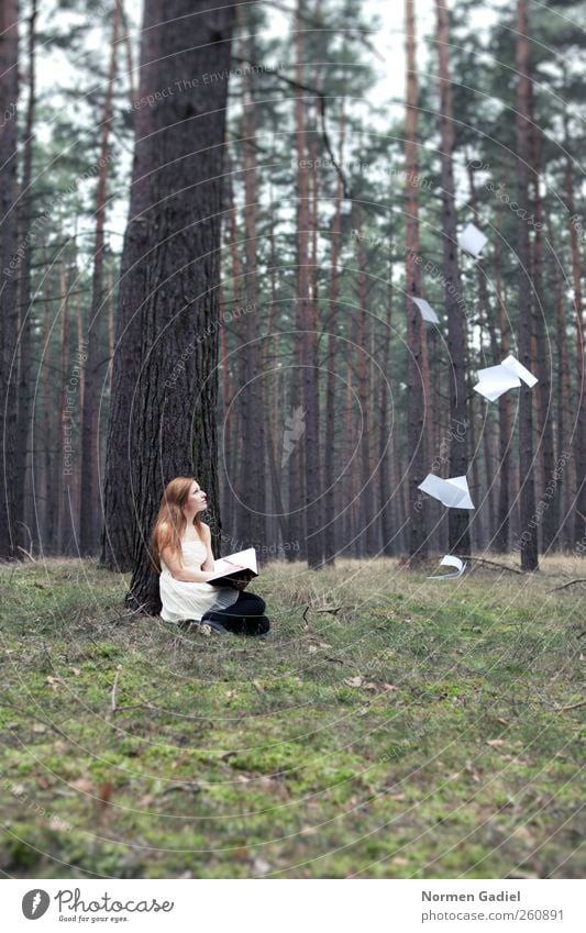 inspiration Junge Frau Jugendliche 1 Mensch 18-30 Jahre Erwachsene Maler Buch lesen Natur Baum Gras Rock blond rothaarig Zettel Schreibstift Holz zeichnen