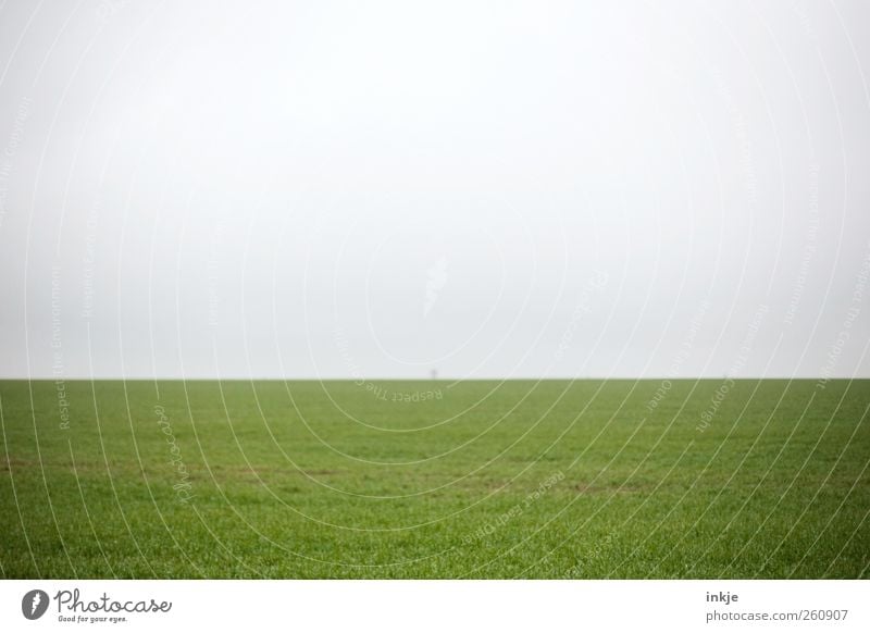 Baum Landwirtschaft Forstwirtschaft Umwelt Landschaft Luft Himmel Horizont Frühling Sommer Herbst Gras Wiese Feld einfach Ferne trist grün Gefühle Stimmung