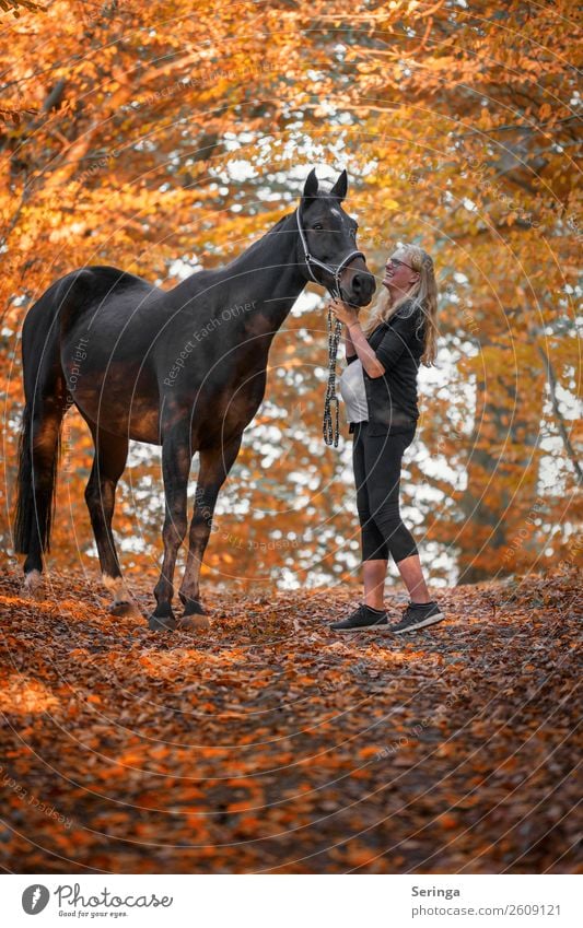 Freunde für immer Freizeit & Hobby Sport Reitsport Mensch feminin Frau Erwachsene 1 Tier Pferd laufen Außenaufnahme Textfreiraum oben Textfreiraum unten Tag