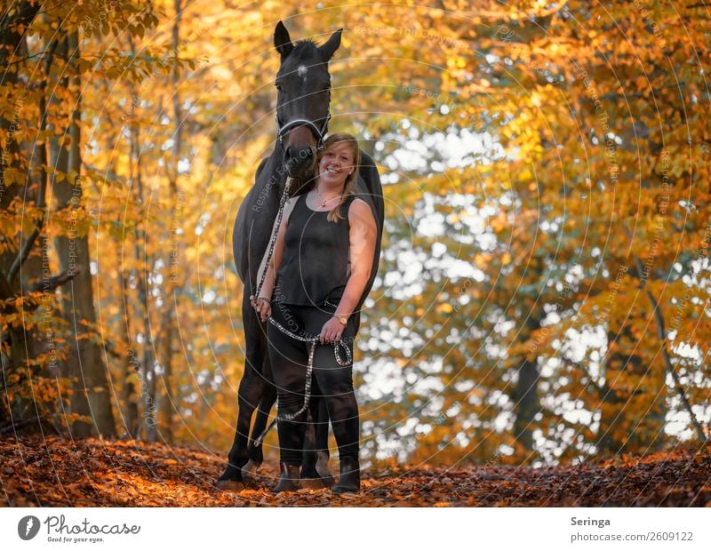 Spaziergang durch den Herbstwald Natur Landschaft Pflanze Tier Baum Park Wald Haustier Nutztier Pferd Tiergesicht Fell 1 Bewegung füttern herbstlich Herbstlaub