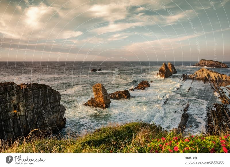 Liencres Natur Landschaft Pflanze Himmel Wolken Horizont Sommer Schönes Wetter Blume Gras Wellen Küste Strand Bucht Riff Meer exotisch gigantisch maritim Wärme