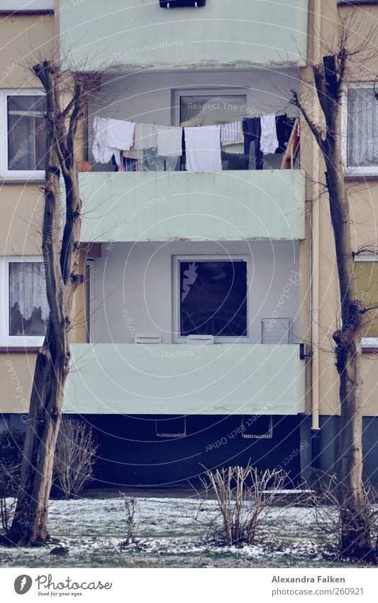 Wäsche an Bäumen II. Haus Gebäude Fassade Balkon Reinlichkeit Sauberkeit Haushaltsführung Wäscheleine Baum Stadthaus Mehrfamilienhaus Nachbar Mietrecht