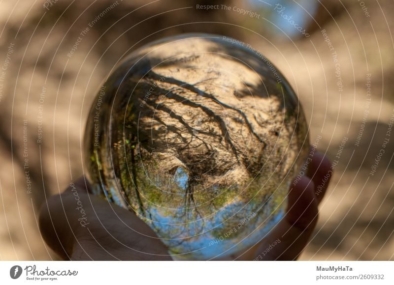 Eine Glaskugel der Natur schön Ferien & Urlaub & Reisen Tourismus Sommer Hand Kunst Landschaft Erde Himmel Herbst Baum Gras Blatt Park Wald Kugel glänzend hell