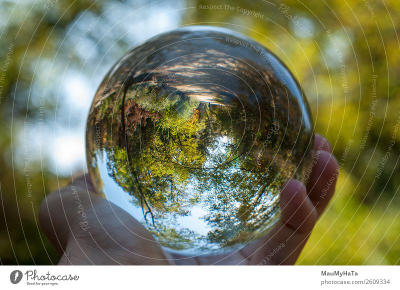 Eine Glaskugel der Natur schön Ferien & Urlaub & Reisen Tourismus Sommer Hand Kunst Landschaft Erde Himmel Herbst Baum Gras Blatt Park Wald Kugel glänzend hell