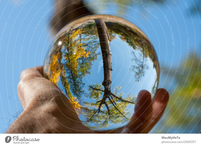 Eine Glaskugel der Natur schön Ferien & Urlaub & Reisen Tourismus Sommer Hand Kunst Landschaft Erde Himmel Herbst Baum Gras Blatt Park Wald Kugel glänzend hell