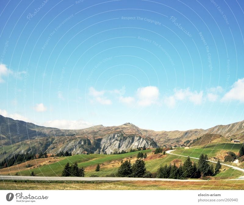 Wann wird es wieder richtig Sommer - oder etwas wärmer :-) Umwelt Natur Landschaft Erde Luft Himmel Wolken Herbst Schönes Wetter Baum Wald Berge u. Gebirge