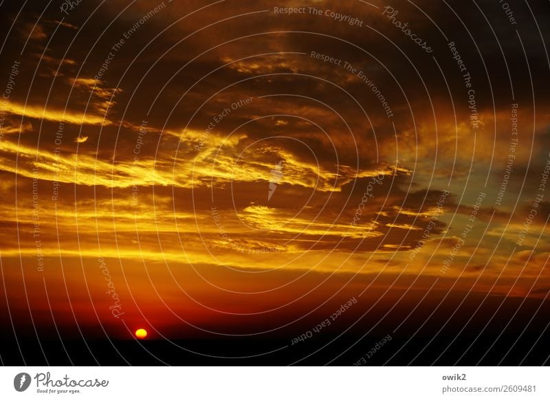 Abendlied Umwelt Himmel Wolken Horizont Sonne Schönes Wetter leuchten gigantisch glänzend Unendlichkeit einzigartig Ewigkeit Idylle Ferne Morgen Farbfoto