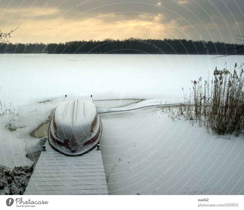 Tiefkühltruhe Umwelt Natur Landschaft Himmel Wolken Horizont Winter Klima Wetter Schönes Wetter Eis Frost Pflanze Sträucher See liegen warten Unendlichkeit kalt