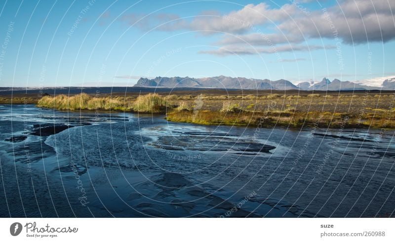 Delta ruhig Ferien & Urlaub & Reisen Berge u. Gebirge Umwelt Natur Landschaft Urelemente Wasser Himmel Horizont Wiese Seeufer Flussufer groß wild blau Island