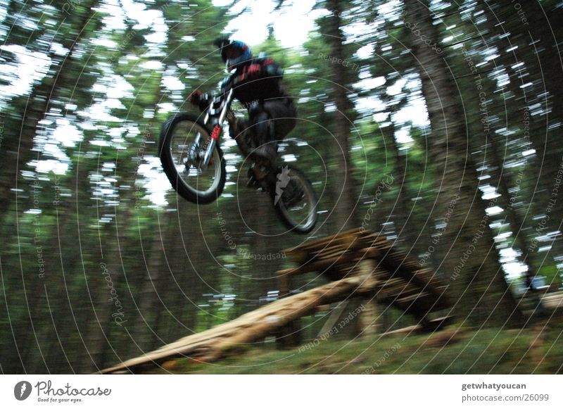 Drop Zone Geschwindigkeit Wald Helm Mann Baum springen Schutzausrüstung Extremsport Natur Mut Angst Himmel Außenaufnahme Motorrad Motocrossmotorrad Offroad