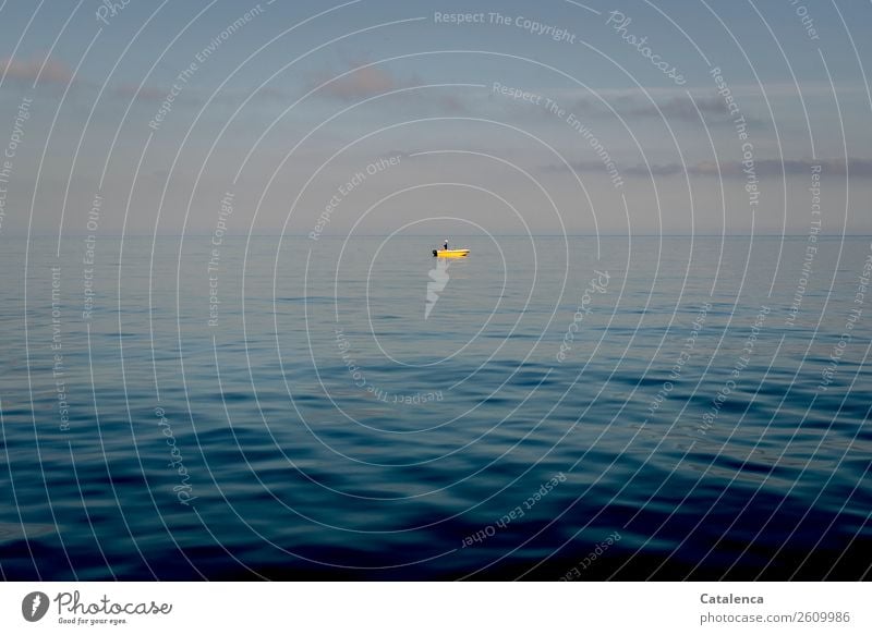 Ins Blau Freizeit & Hobby Angeln Sommer Sommerurlaub Meer Umwelt Landschaft Urelemente Wasser Himmel Horizont Schönes Wetter Wellen Bootsfahrt Motorboot