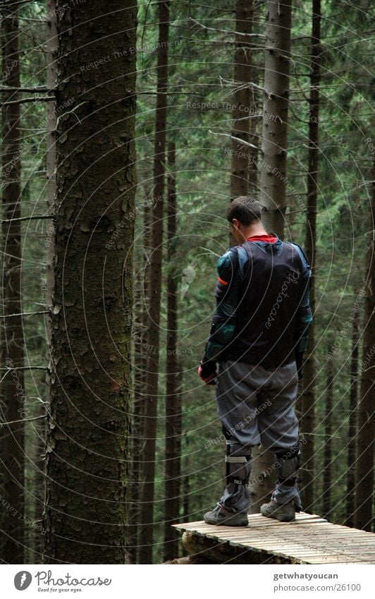 Er dachte: 112 Wald Mann ruhig stehen Baum springen Steg Northshore Beach Holz Schutzausrüstung Extremsport Natur Mut Angst Niveau Denken Außenaufnahme