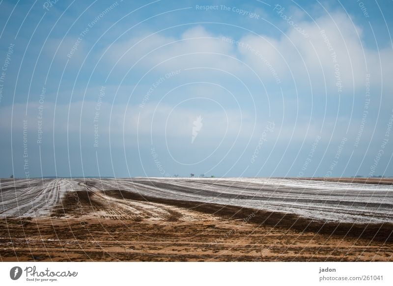 der winter ist bunt. Winter Landwirtschaft Forstwirtschaft Landschaft Himmel Wolken Schönes Wetter Eis Frost Schnee Feld Sand nachhaltig trist blau braun ruhig