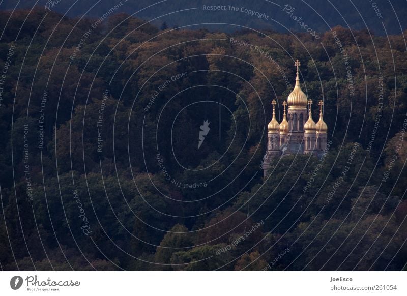 #261054 Tourismus Ausflug Architektur Landschaft Baum Wald Kirche Bauwerk Gebäude entdecken dunkel kalt schön Kapelle Religion & Glaube Gold Turm