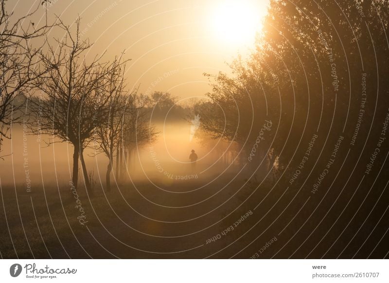 Hikers come out of the morning mist in the sunshine wandern Mensch Körper 1 Natur laufen Sunbeams copy space dust field glitter haze hiking landscape lane light