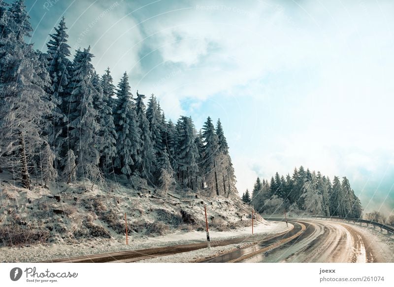 Schwarzwaldhochstraße Natur Landschaft Himmel Wolken Winter Wetter Baum Wald Berge u. Gebirge Verkehrswege Straße kalt nass blau braun schwarz weiß Hochstraße