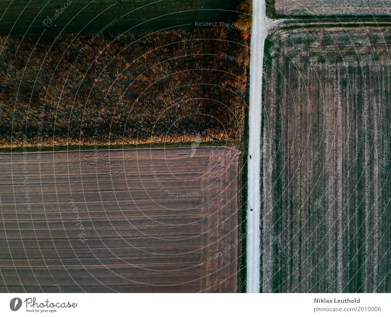 Von oben herab wandern Natur Landschaft Erde Herbst Schönes Wetter Pflanze Gras Nutzpflanze Wiese Feld Wege & Pfade dunkel Unendlichkeit hoch trocken braun grün