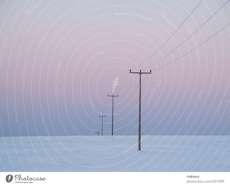 connection Landschaft Himmel Wolkenloser Himmel Winter Schnee Feld Menschenleer kalt trist ruhig minimalistisch Strommast Farbfoto Gedeckte Farben Außenaufnahme