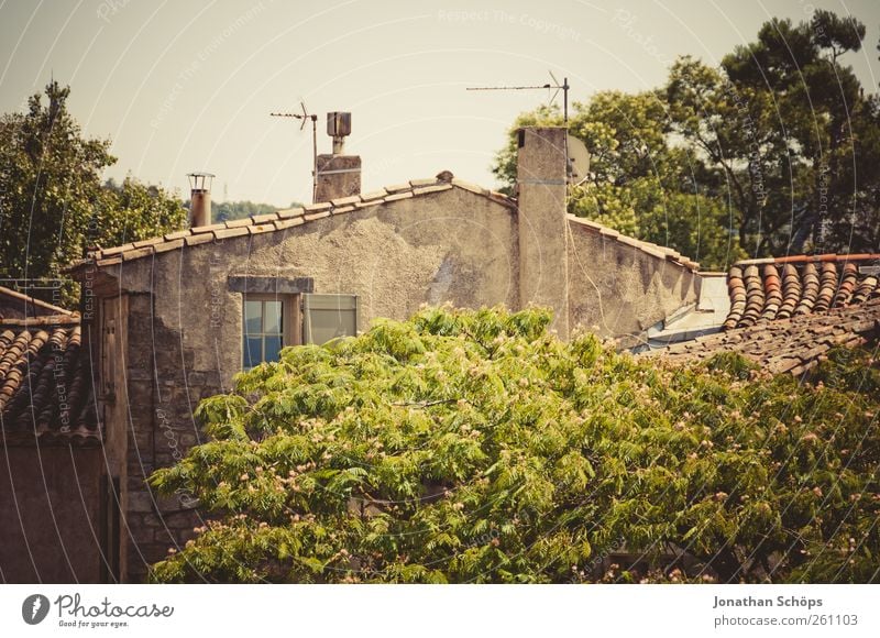 Carcassonne V Ferien & Urlaub & Reisen Ausflug Abenteuer Ferne Städtereise Sommerurlaub Südfrankreich Frankreich Haus Einfamilienhaus alt Süden Antenne Baum