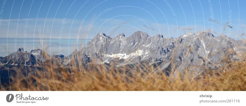 Dachstein Sommer Sommerurlaub Berge u. Gebirge wandern Umwelt Natur Landschaft Himmel Wolken Herbst Schönes Wetter Gras Felsen Alpen Schneebedeckte Gipfel blau