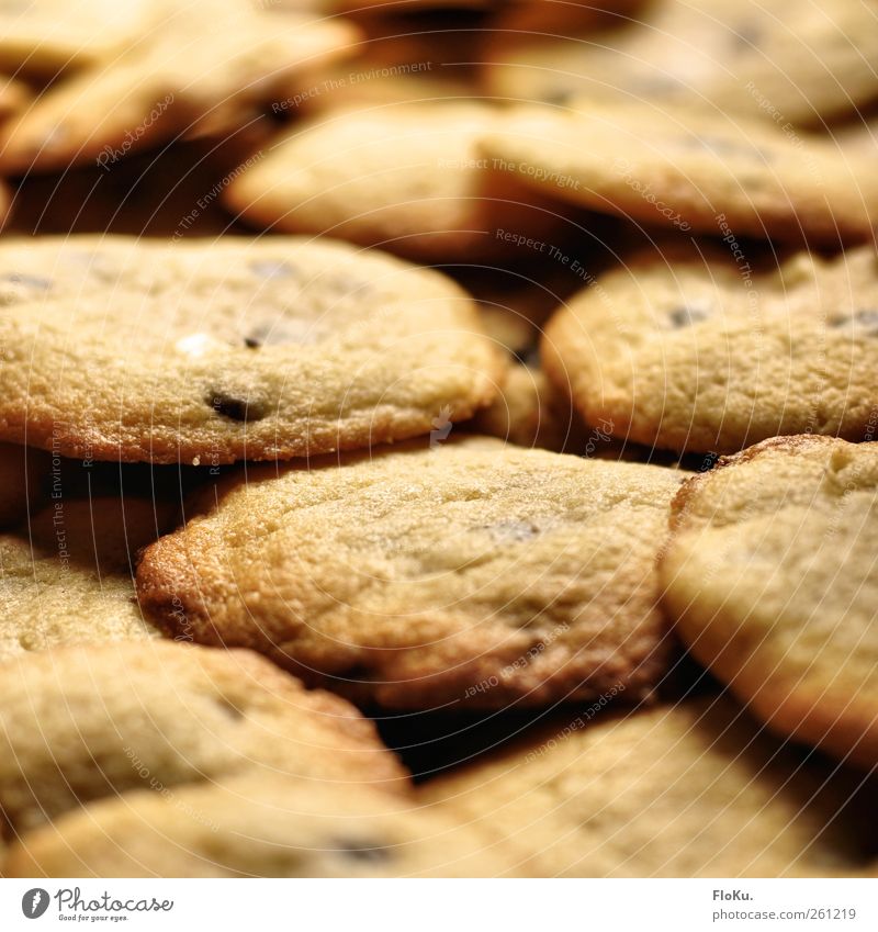 Kekse sind für alle da Lebensmittel Teigwaren Backwaren Dessert Süßwaren Ernährung Duft frisch lecker süß Glück Fröhlichkeit Völlerei gefräßig cookie cookies