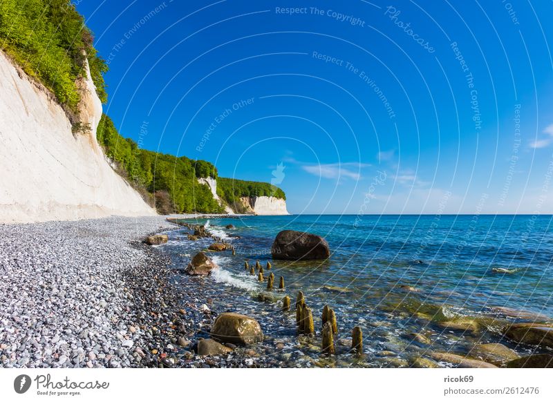 An der Küste der Ostsee auf der Insel Rügen Erholung Ferien & Urlaub & Reisen Tourismus Meer Natur Landschaft Wolken Baum Wald Felsen Sehenswürdigkeit Stein