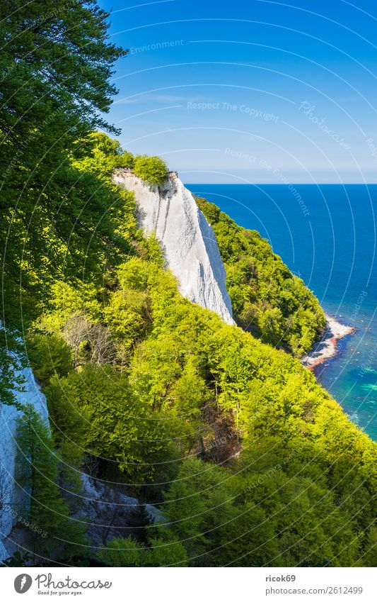 An der Küste der Ostsee auf der Insel Rügen Erholung Ferien & Urlaub & Reisen Tourismus Meer Natur Landschaft Wolken Baum Wald Felsen Sehenswürdigkeit Stein