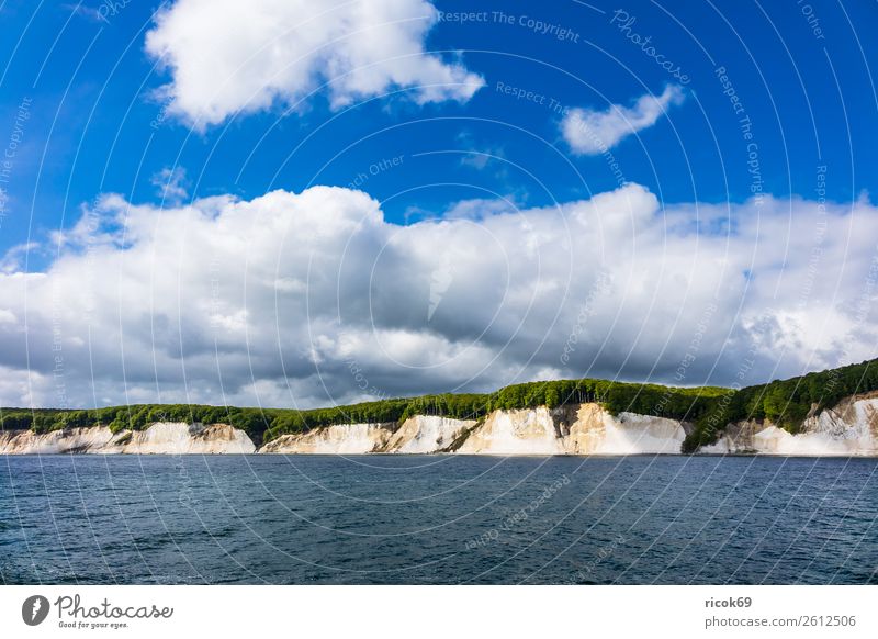 An der Küste der Ostsee auf der Insel Rügen Erholung Ferien & Urlaub & Reisen Tourismus Natur Landschaft Wolken Baum Wald Sehenswürdigkeit blau grün Romantik