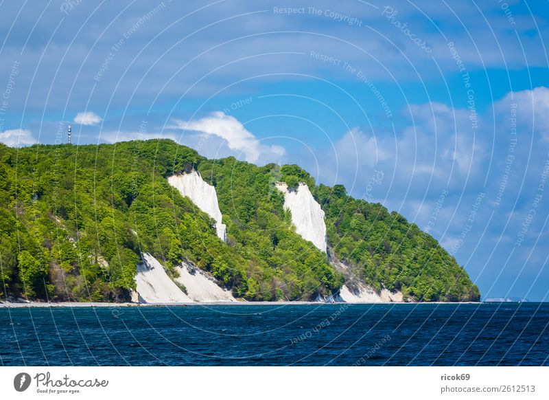 An der Küste der Ostsee auf der Insel Rügen Erholung Ferien & Urlaub & Reisen Tourismus Natur Landschaft Wolken Baum Wald Sehenswürdigkeit blau grün Romantik