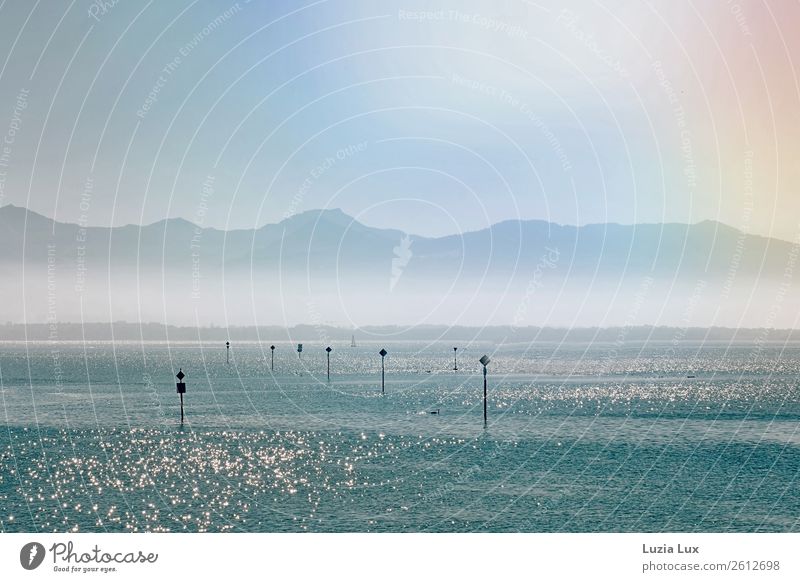 Bodensee, Träumerei Landschaft Wasser Himmel Sonne Sonnenlicht Herbst Nebel Wellen Seeufer Sehenswürdigkeit glänzend leuchten hell schön blau Farbfoto