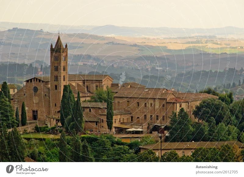 Basilica Kunst Umwelt Natur Landschaft Pflanze Himmel Sonne Sommer Wetter Schönes Wetter Baum Hügel Siena Italien Stadt Altstadt Kirche Park Turm Bauwerk