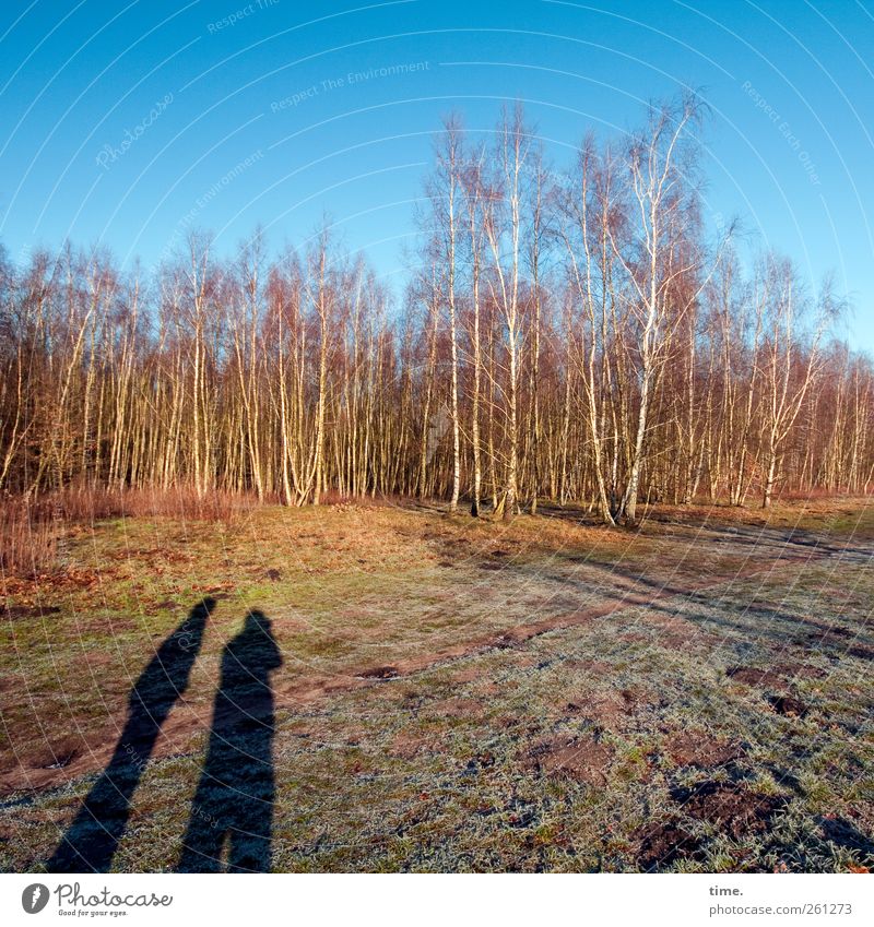 Hier entsteht demnächst Ihr megacooles Parkhaus 2 Mensch Umwelt Natur Landschaft Himmel Winter Schönes Wetter Baum Moos Feld Wald Moor Partnerschaft