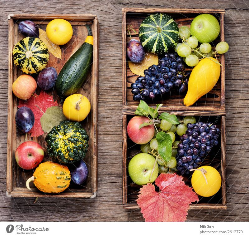 Schöne Herbsternte Kürbis Dekoration & Verzierung fallen Ernten Saison Gemüse natürlich saisonbedingt Trauben Beeren Pflaume Stillleben gelb Natur Lebensmittel