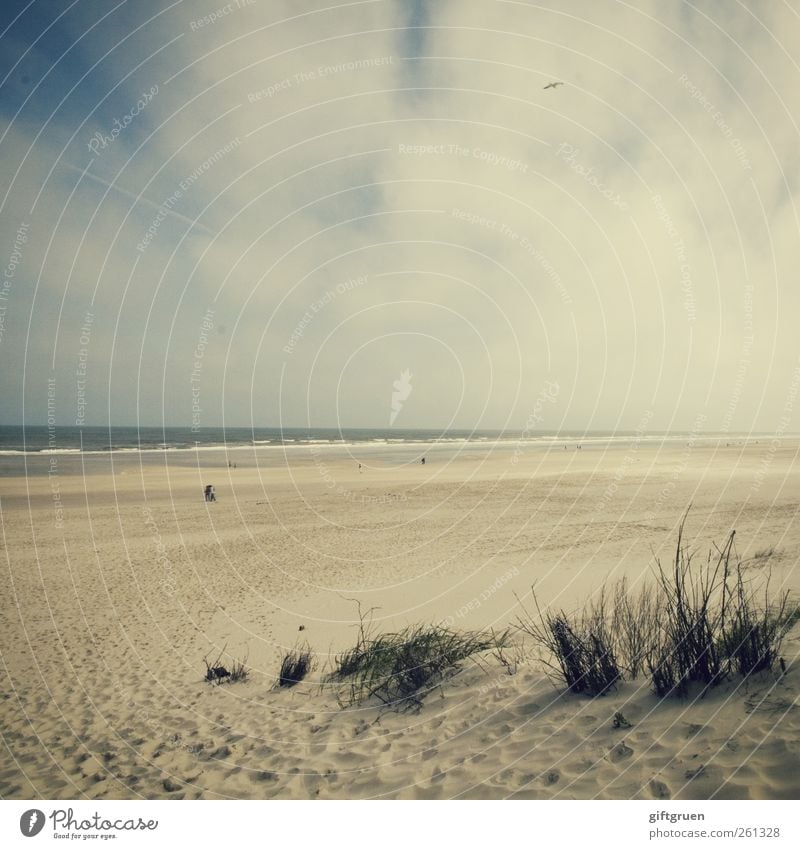 strandspaziergang Umwelt Natur Landschaft Pflanze Urelemente Sand Wasser Himmel Wolken Wetter Gras Wellen Küste Strand Ostsee Meer ästhetisch Spaziergang Düne