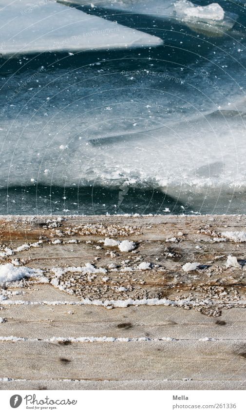 Baby, es gibt Eis* Umwelt Natur Wasser Frost Seeufer Holz kalt natürlich blau Zeit Steg Schiffsplanken Am Rand Eisscholle gefroren Farbfoto Außenaufnahme