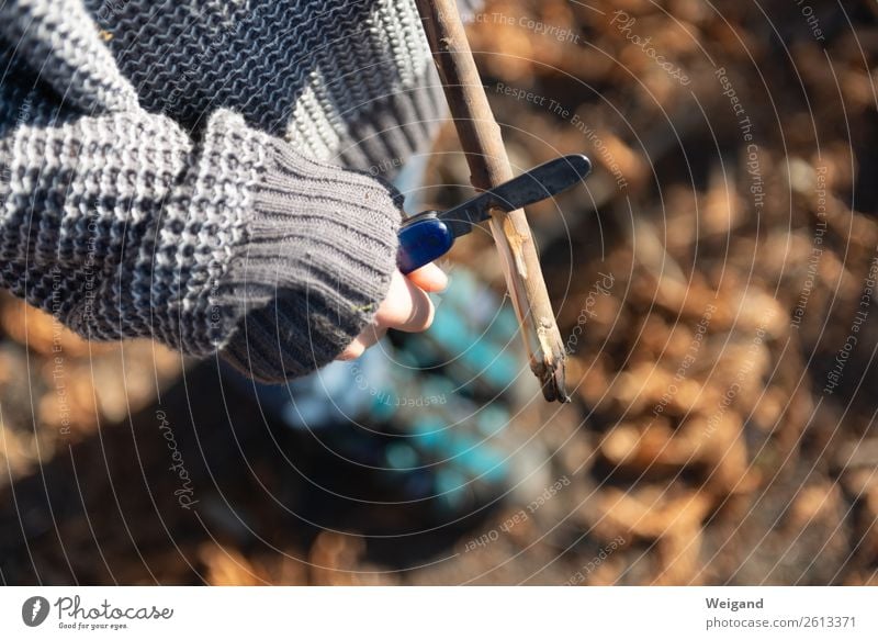 Schnitzwerk Spielzeug frech frei Gesundheit braun Messer Kind Junge Wald ferienfreizeit schnitzen Stock Ereignisse Farbfoto Textfreiraum rechts