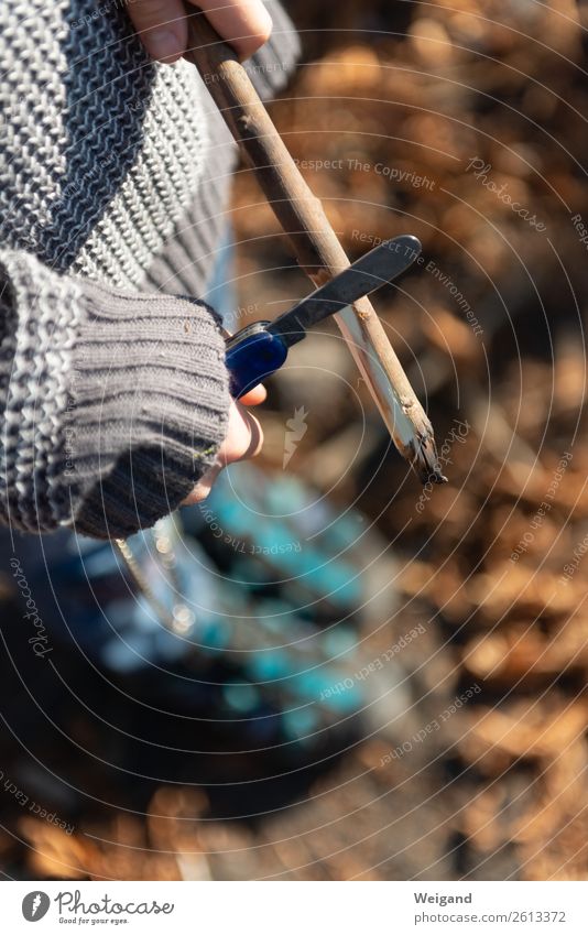 Stockschnitzerei Junge Herbst Wald Spielen Originalität positiv rebellisch Messer Spaziergang Außenaufnahme Textfreiraum unten Schwache Tiefenschärfe