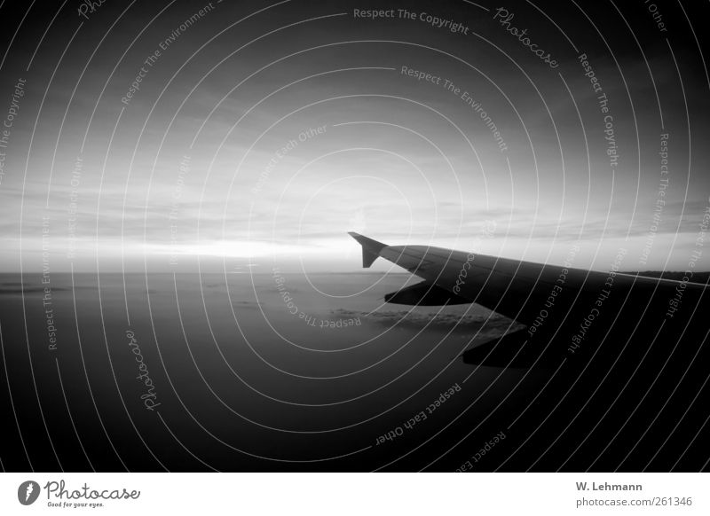 Nachruf Luftverkehr Schönes Wetter Verkehr Verkehrsmittel Verkehrswege Flugzeug Passagierflugzeug Tod Schwarzweißfoto Außenaufnahme Experiment Menschenleer