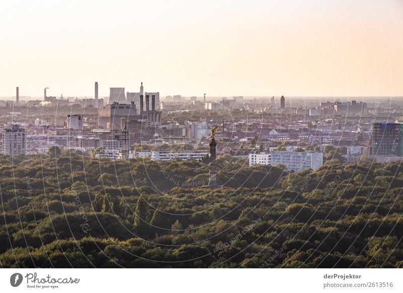 Herbstlicher Panoramablick auf Berlin XV Zentralperspektive Starke Tiefenschärfe Sonnenstrahlen Sonnenlicht Schatten Licht Morgen Textfreiraum Mitte